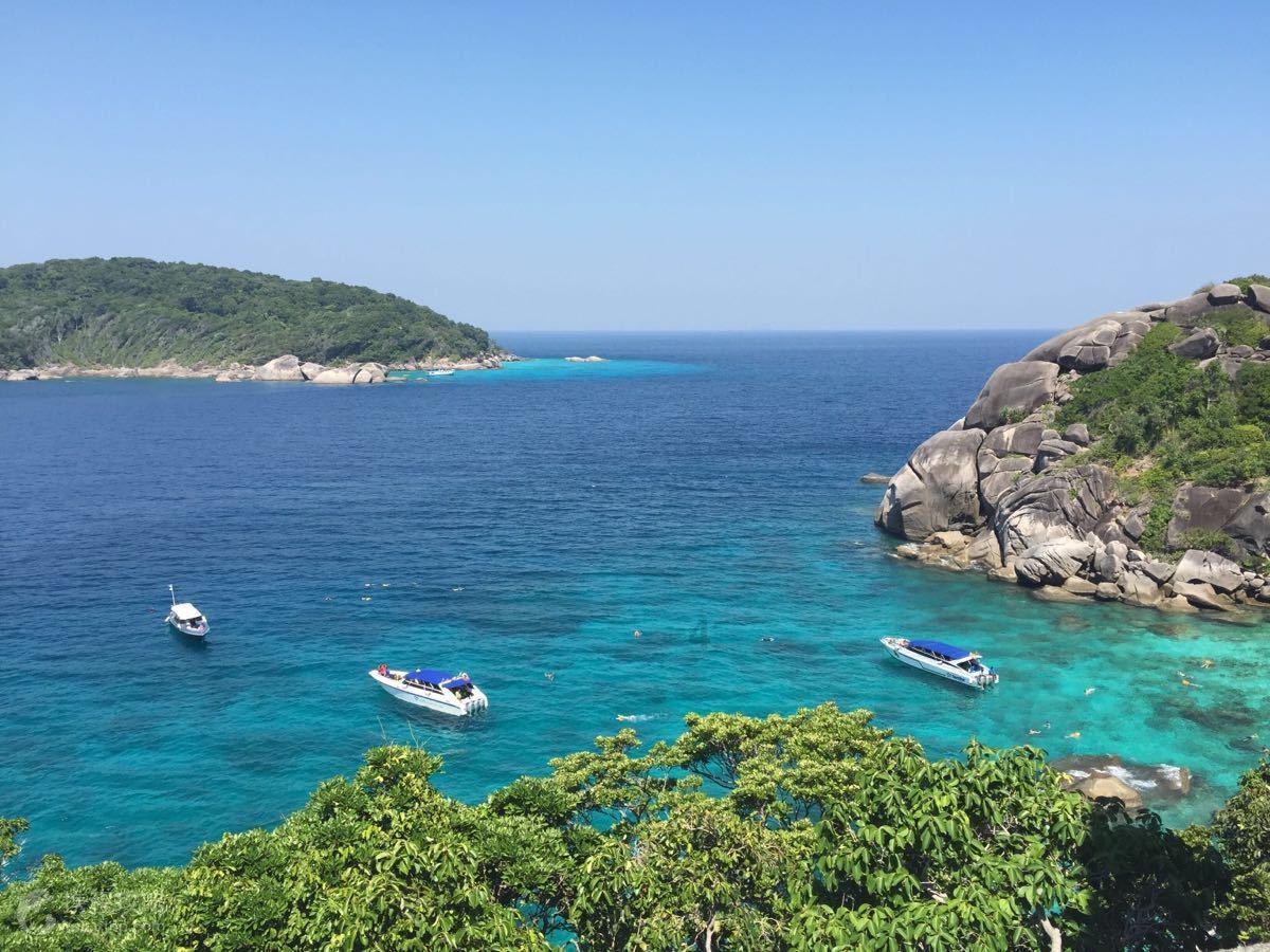 西泠春运会走进建德,艺术名家齐聚南山畅享“乡村梦想家”
